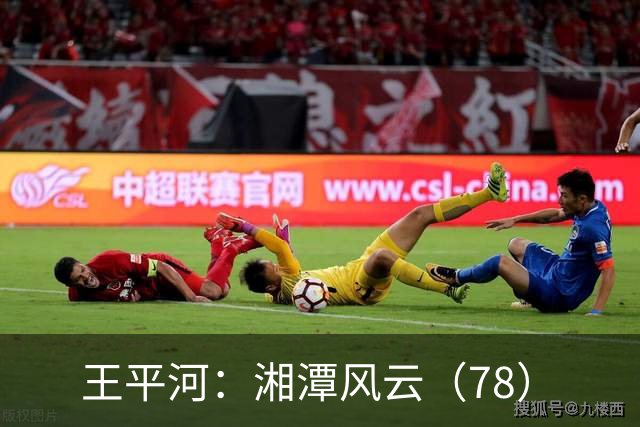 王平河：湘潭风云（7/8）
