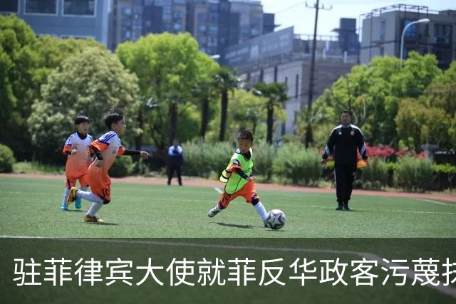 驻菲律宾大使就菲反华政客污蔑抹黑中方言论向菲外长提出严正交涉